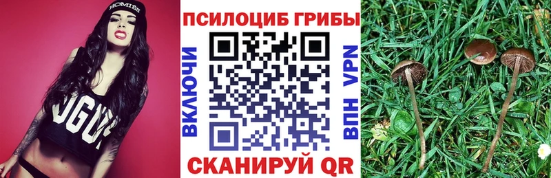 Галлюциногенные грибы MAGIC MUSHROOMS  купить  цена  ссылка на мегу tor  Малгобек 